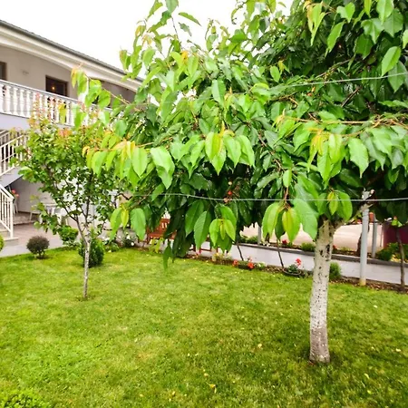 בית הארחה Duje 3*